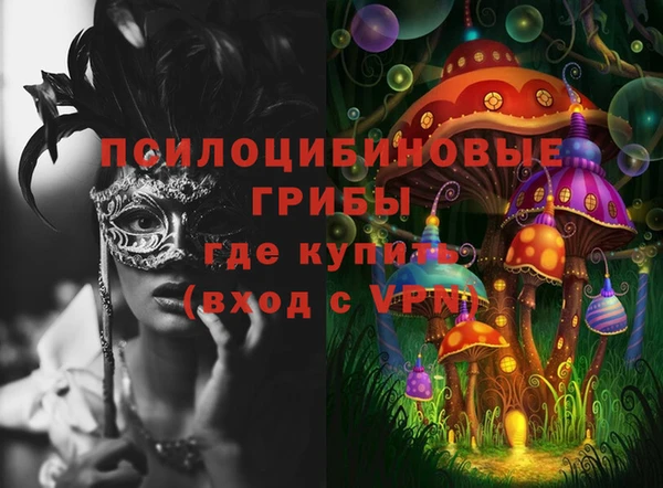 mdpv Белокуриха