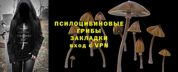mdpv Белокуриха